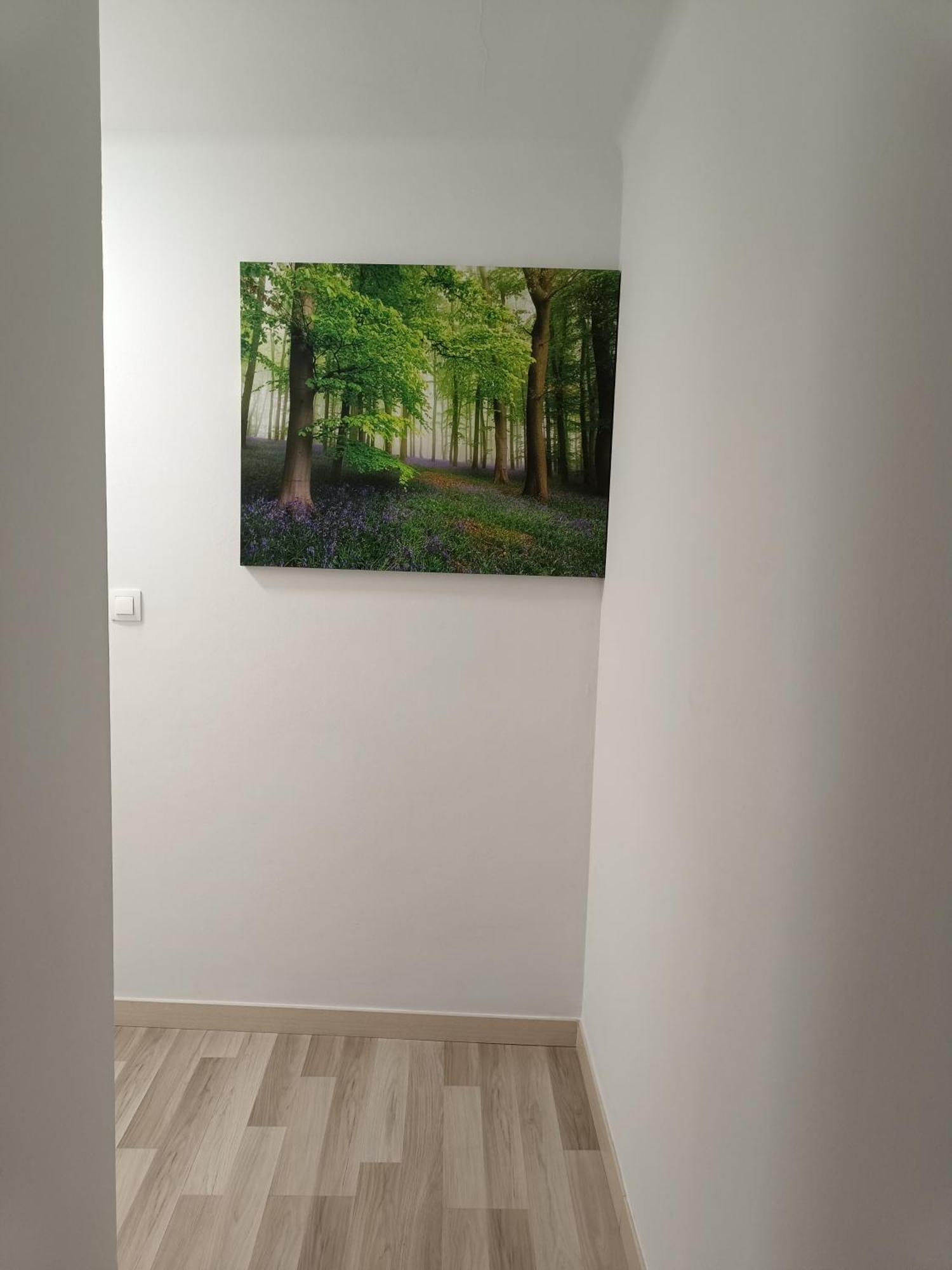 Apartamento Confort I La Seu d'Urgell Exteriör bild